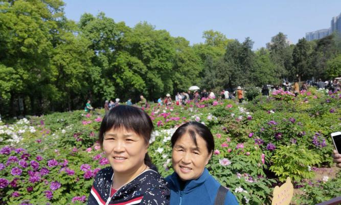 花语心情不错代表什么？心情不错时应该送什么花？