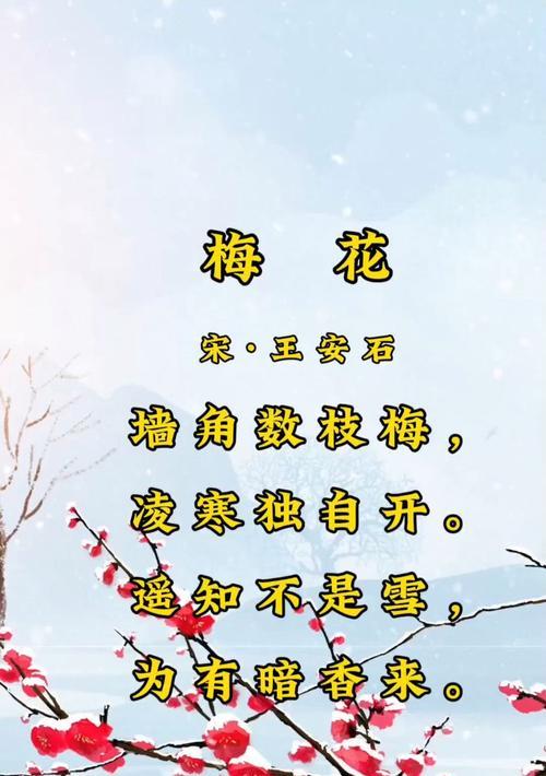 梅花的花语有哪些品种特点和功效？