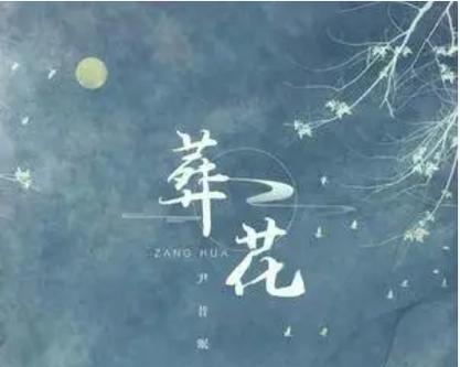 有什么花的花语是葬爱？哪种花象征着葬爱？