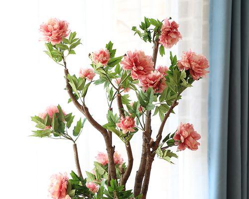 蒙太奇树的花语代表什么？这种树的花有何特殊含义？
