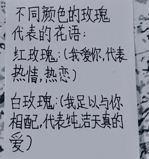 大西南玫瑰的花语代表什么？
