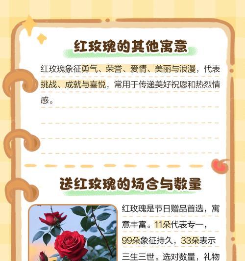 好玫瑰传递了哪些花语信息？