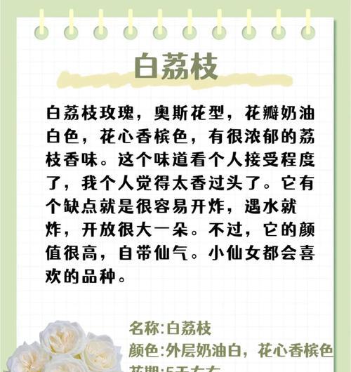 哪种花语送人最能惊艳？