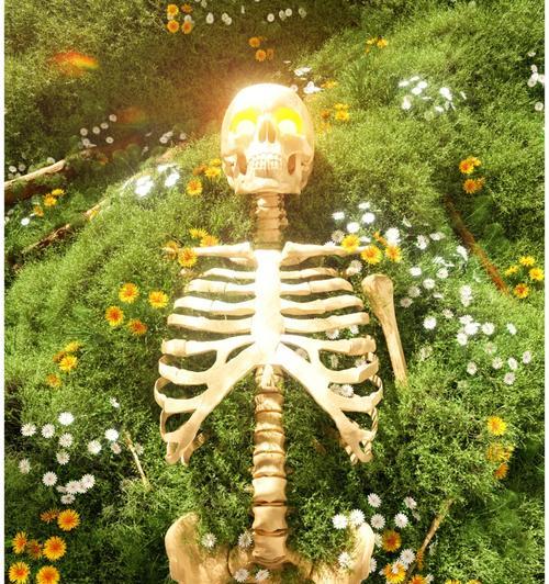 遗忘的花语有何特殊含义？如何弥补？