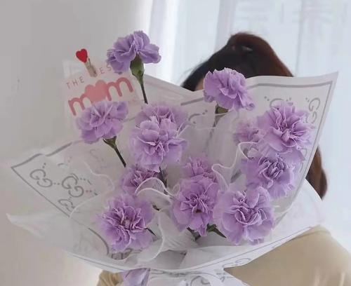 紫色康乃馨花束的花语是什么？紫色康乃馨花束代表什么意义？