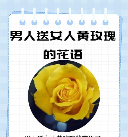 一点花语中隐藏的含义是什么？