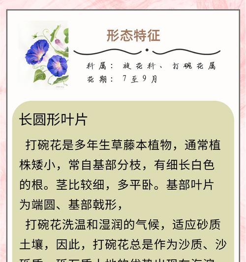 哪种花的花语是希望和新生？希望和新生的花语有何意义？
