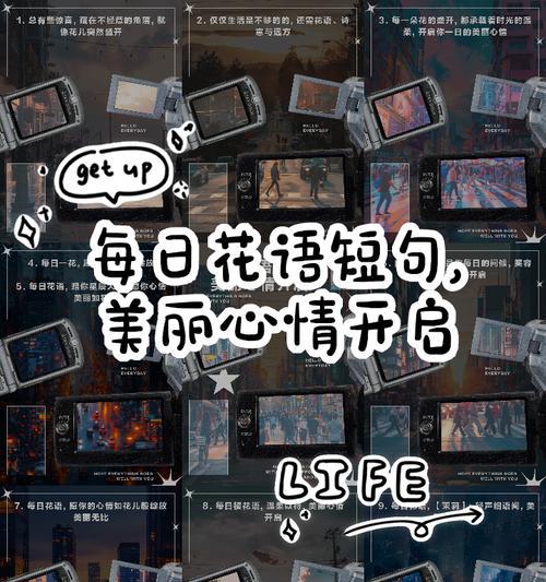 治愈心情的花语有哪些？
