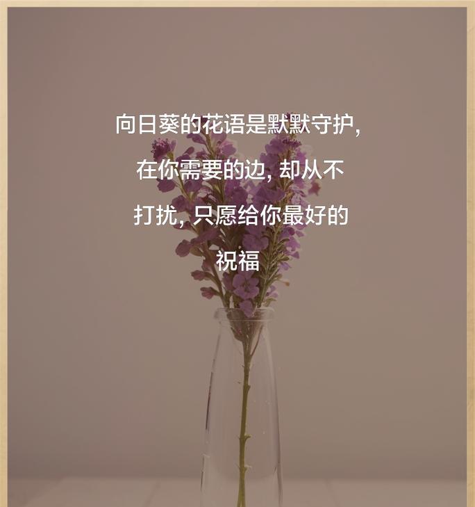 治愈心情的花语有哪些？
