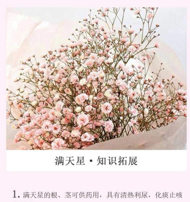 女朋友伤心难过时，应该用什么花语安慰？花语如何传递关怀与支持？