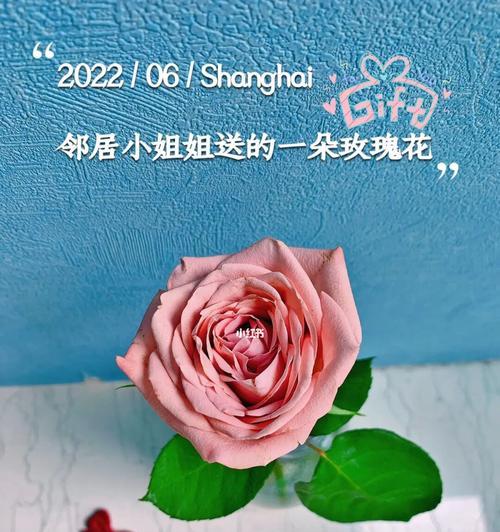 送玫瑰给小姐姐有何寓意？