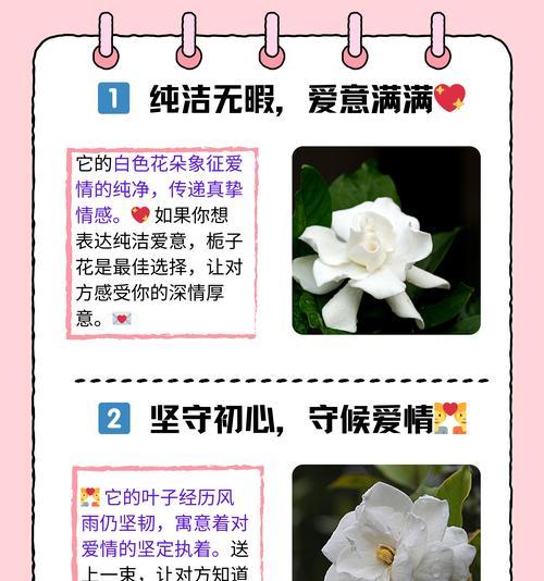苜蓿花蕊代表什么？花语和寓意有何深意？