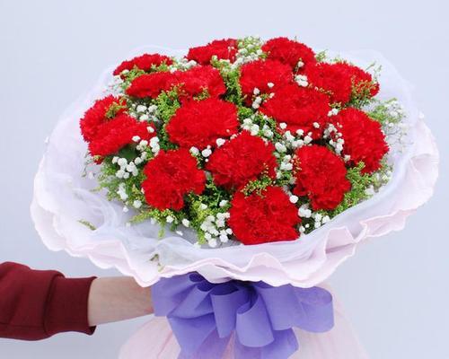 独花兰寓意何在？花语是什么？