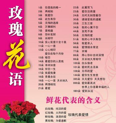 蓝海里的玫瑰花语代表了什么？