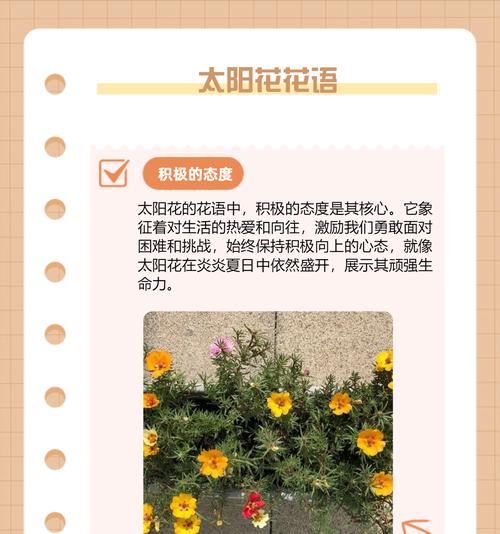 停在花朵上的女人象征着什么？它的花语有何深意？