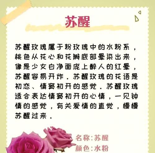 初恋的热烈花语是什么？它传达了怎样的情感？
