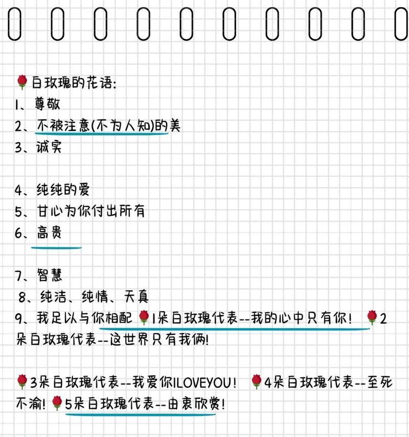 十九朵玫瑰花的花语是什么？