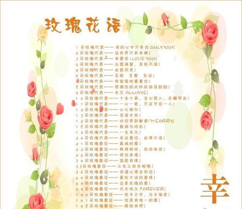 十九朵玫瑰花的花语是什么？