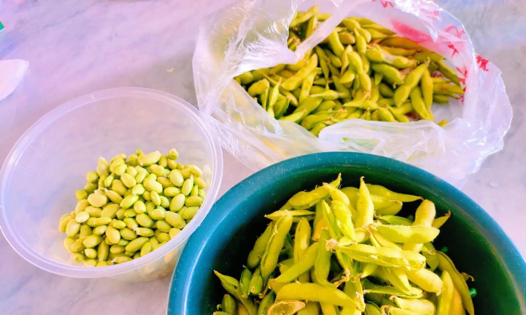 豆橛子花语代表什么含义？
