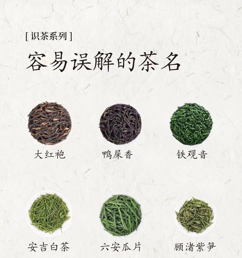 茶叶有哪些花语？茶叶的花语有何特殊含义？