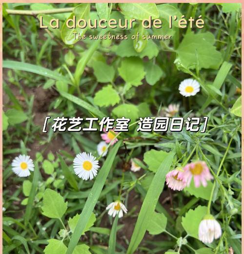 花语园艺具体是做什么的？花语园艺的工作内容是什么？