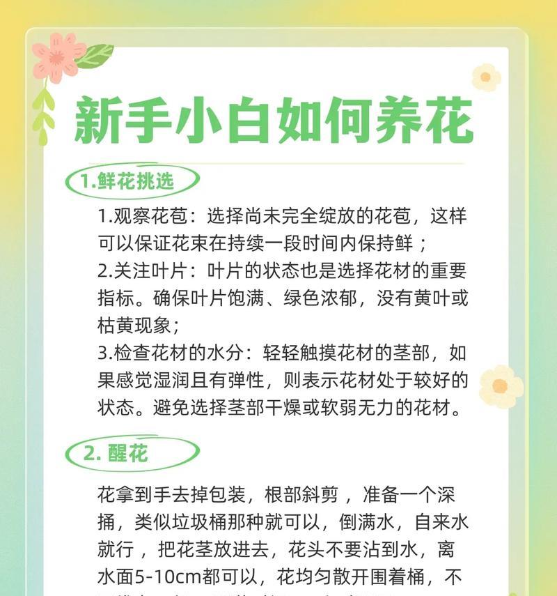 室外养花需要注意什么？