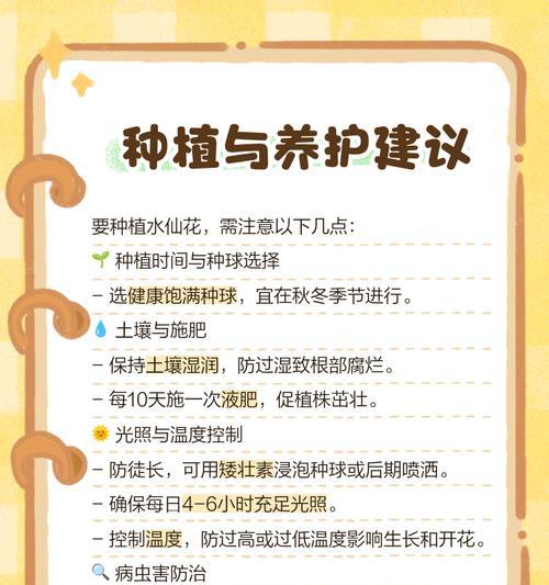 水仙花施肥技巧有哪些？如何正确施肥？