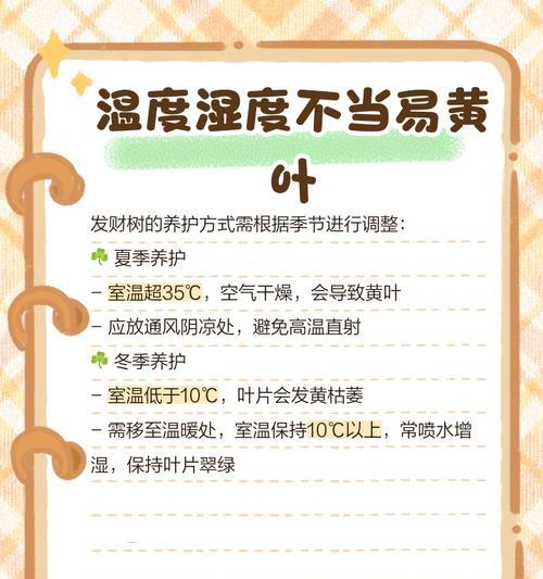 发财树叶子发黄的常见原因有哪些？如何解决？