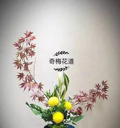 介绍插花技巧的要点是什么？如何展示你的插花艺术？