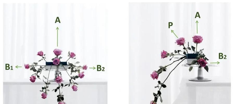 介绍插花技巧的要点是什么？如何展示你的插花艺术？