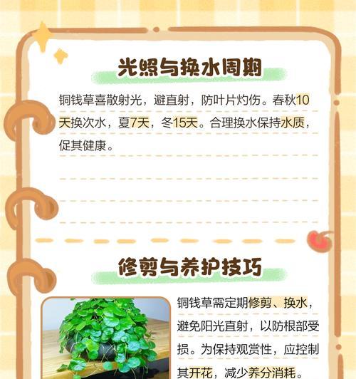 金钱草种子水培的方法是什么？水培金钱草需要注意什么？