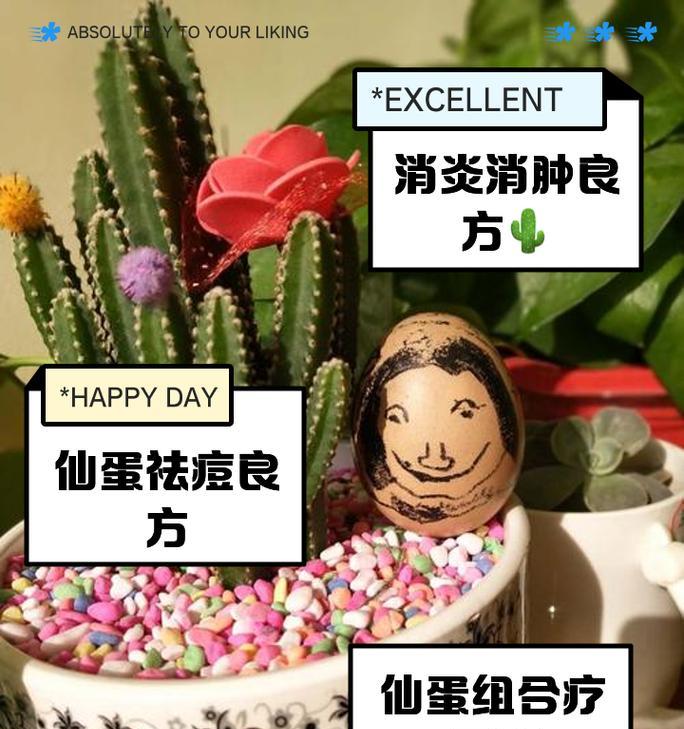仙人掌烂根了怎么补救？如何预防仙人掌烂根？