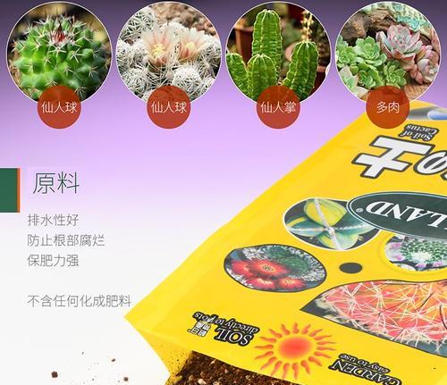自制仙人球肥料的配方是什么？如何正确使用？