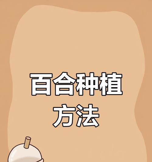 百合的最佳种植时间是什么时候？种植百合有哪些技巧？