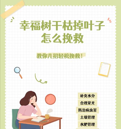 幸福树修剪的最佳时机是什么时候？