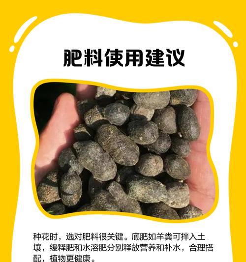 米兰花培养土的配制方法有哪些？配制时的关键点是什么？