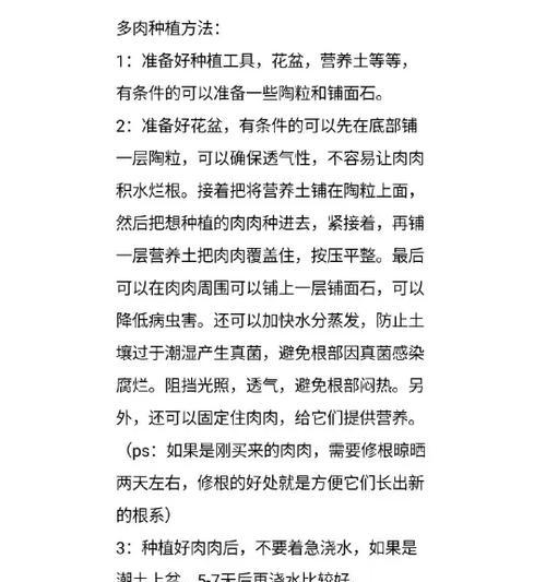 小肉肉植物的养殖技巧有哪些？如何避免烂根？
