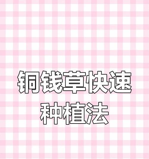 铜钱草的种植方法有哪些？怎样保证铜钱草的生长？