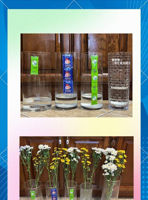 鸡笼网插花固定花材的技巧是什么？如何确保花材稳定？