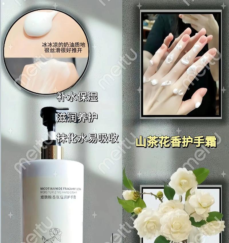 山茶花冬季护理有哪些要点？