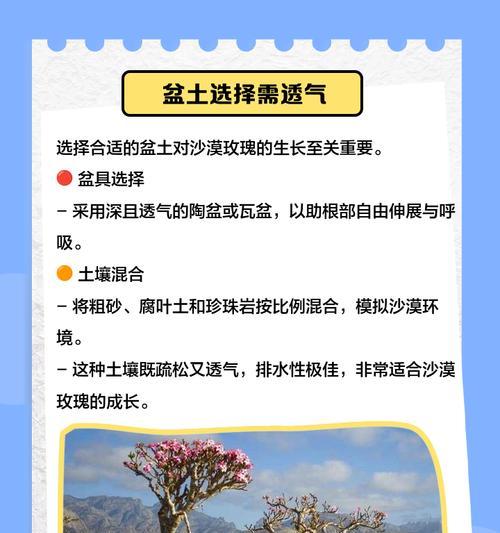 玫瑰的养殖技巧有哪些？如何处理玫瑰的病虫害？
