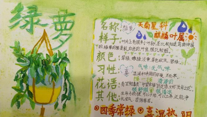 绿萝栽培的简易方法是什么？