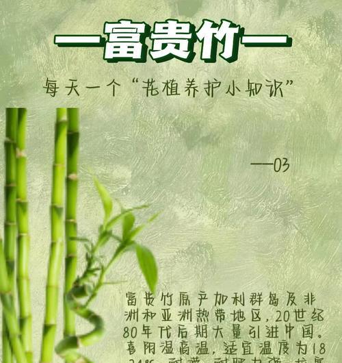 富贵竹浇水频率和方法有哪些？
