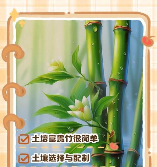 富贵竹浇水频率和方法有哪些？