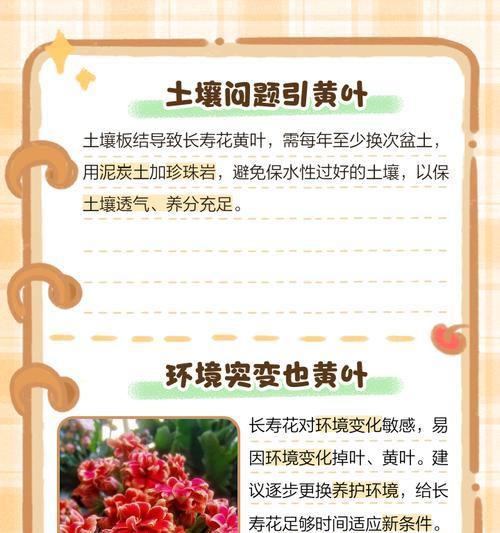 花枯萎的常见原因是什么？如何挽救枯萎的植物？