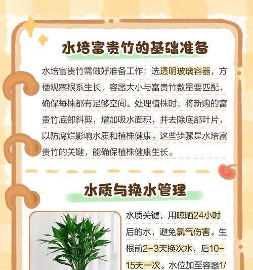 水培富贵竹的正确养护方法是什么？如何处理根部问题？