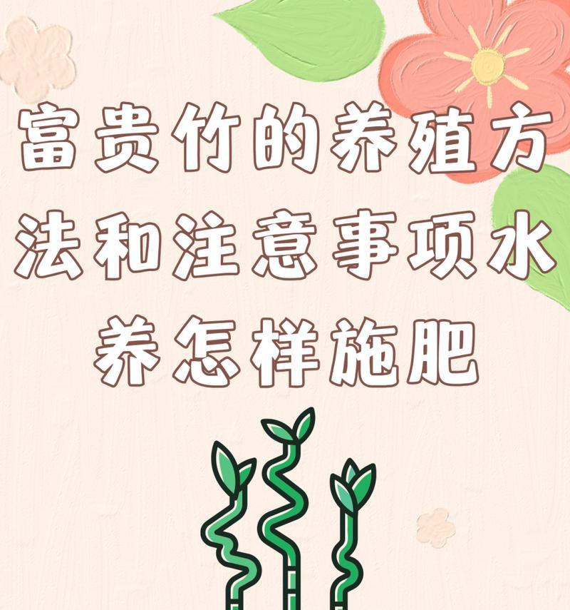 水培富贵竹的正确养护方法是什么？如何处理根部问题？