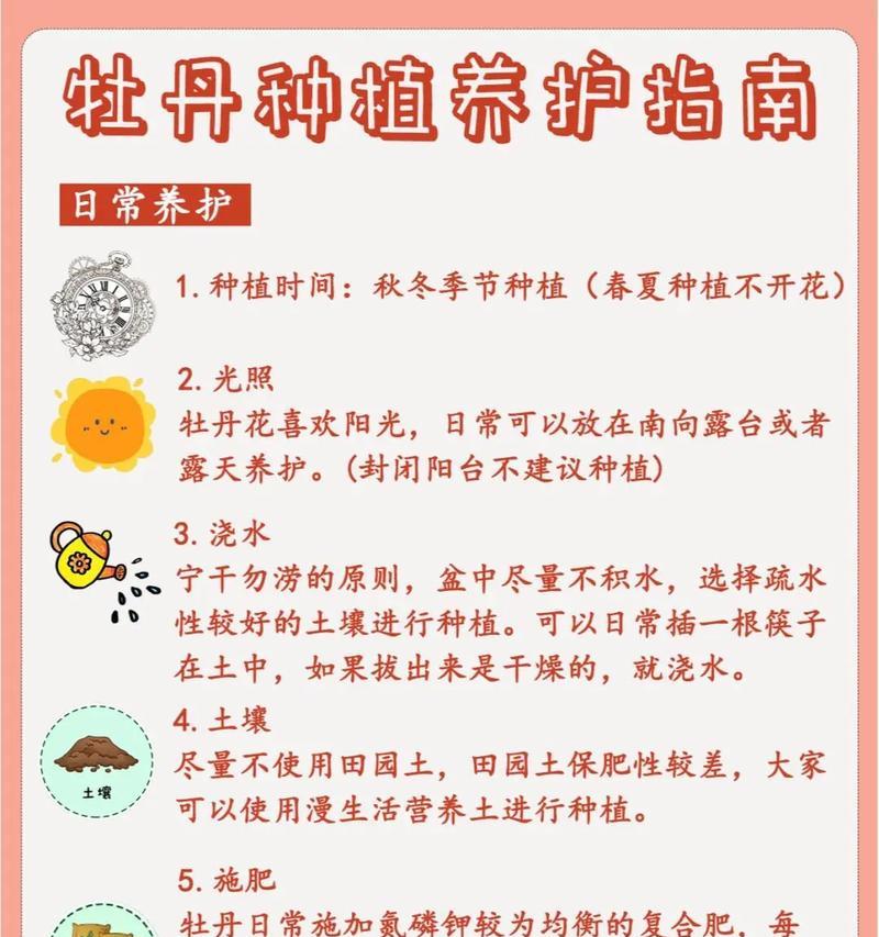 牡丹花夏季养护要点是什么？如何避免高温伤害？