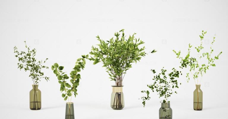 福建花艺盆景花瓶怎么制作？步骤简单吗？