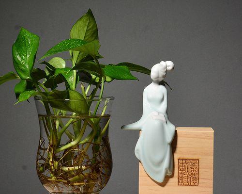 福建花艺盆景花瓶怎么制作？步骤简单吗？